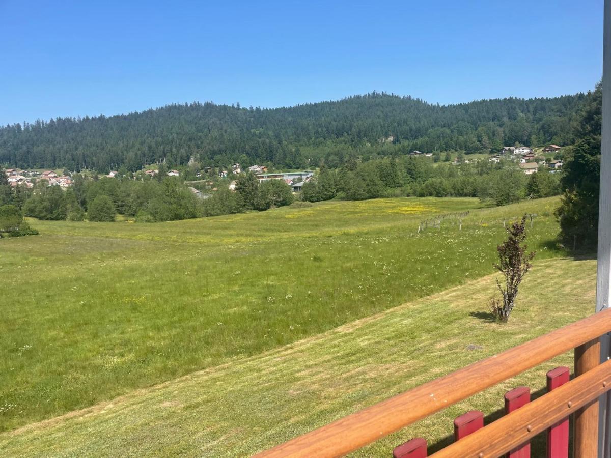 Chalet Le Cedre Bleu 10 P - 10 Min De Gerardmer 르톨리 외부 사진