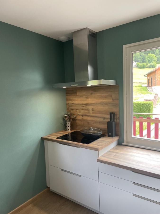 Chalet Le Cedre Bleu 10 P - 10 Min De Gerardmer 르톨리 외부 사진