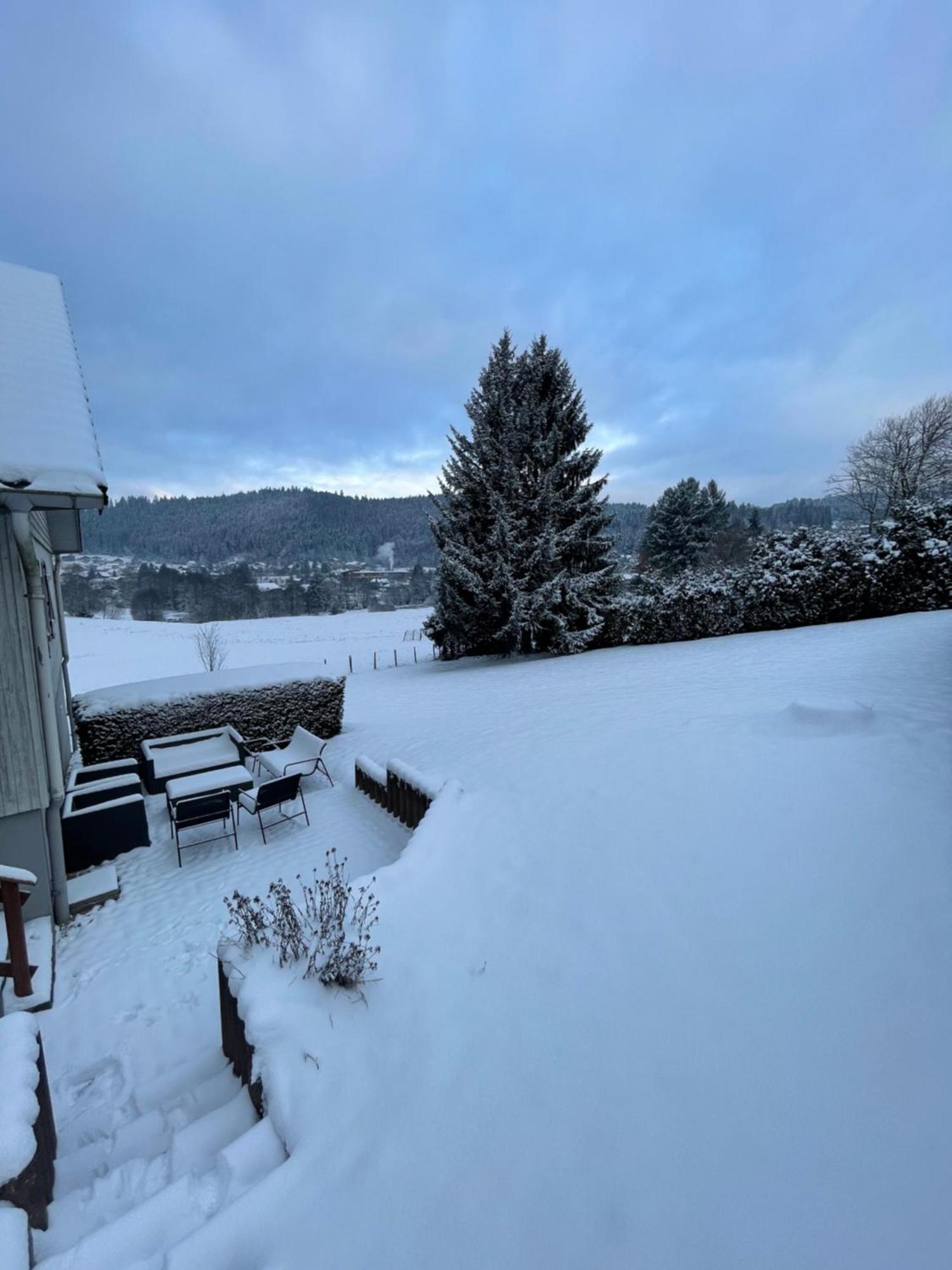 Chalet Le Cedre Bleu 10 P - 10 Min De Gerardmer 르톨리 외부 사진